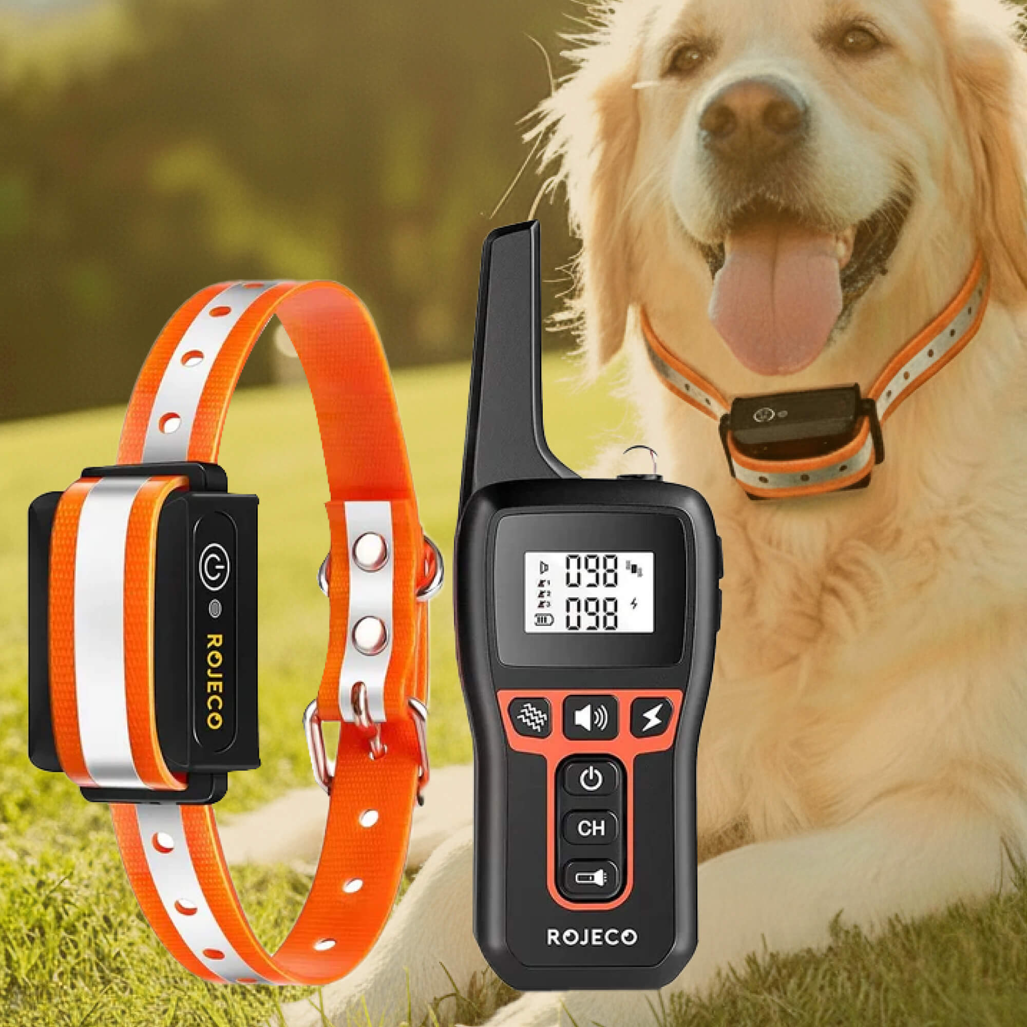 1000m Remote Dog Training Collar | Rechargeable Waterproof Trainer for All Dogs