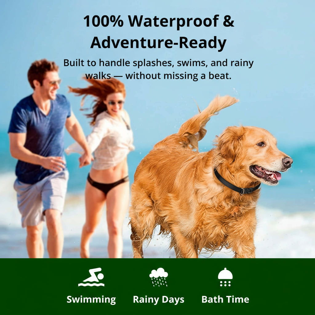 1000m Remote Dog Training Collar | Rechargeable Waterproof Trainer for All Dogs