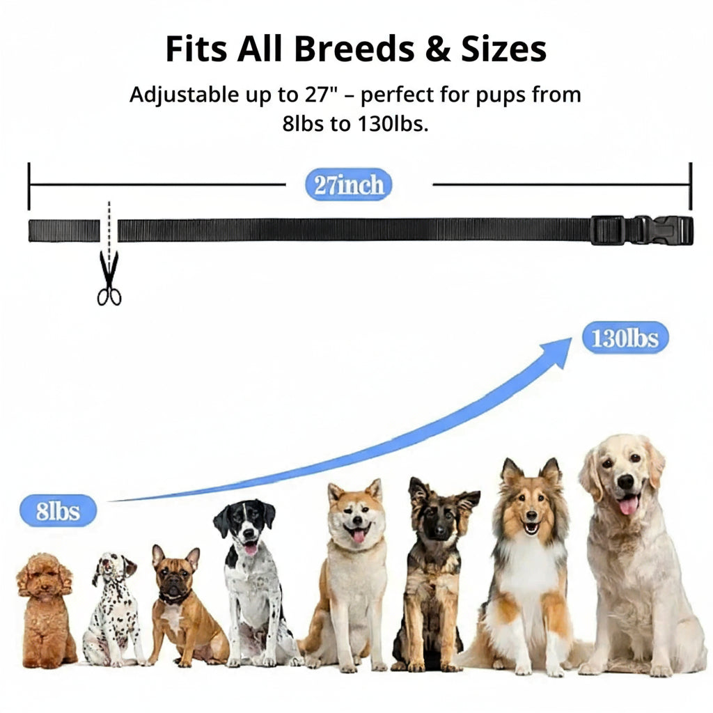 1000m Remote Dog Training Collar | Rechargeable Waterproof Trainer for All Dogs