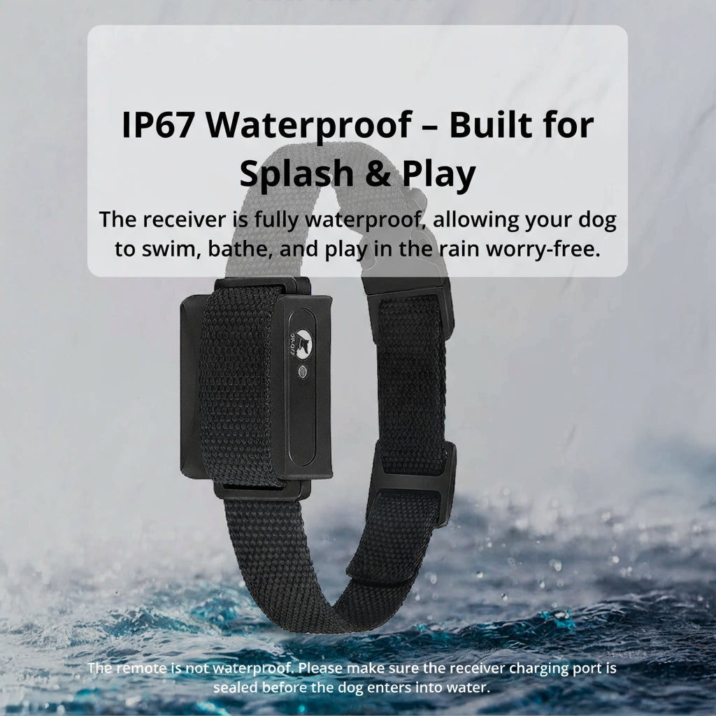 1000m Remote Dog Training Collar | Rechargeable Waterproof Trainer for All Dogs