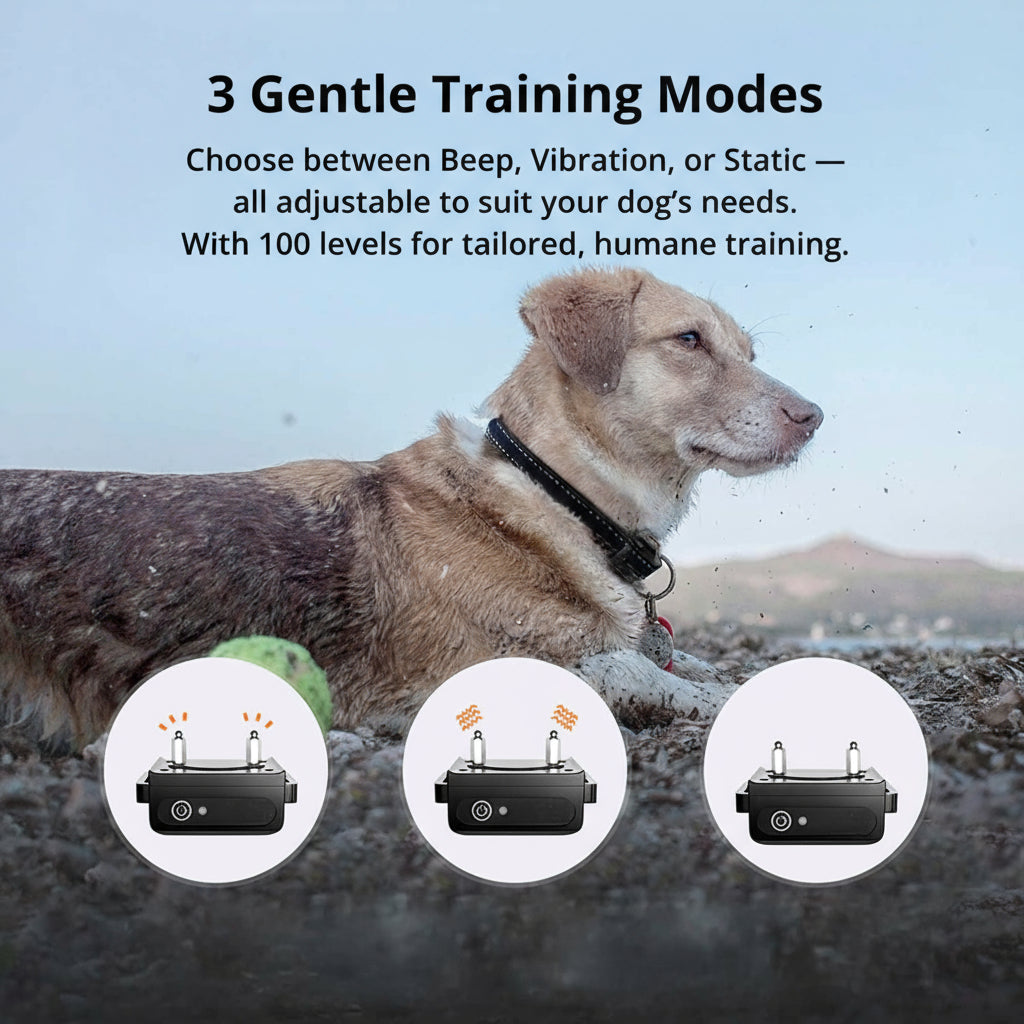 1000m Remote Dog Training Collar | Rechargeable Waterproof Trainer for All Dogs