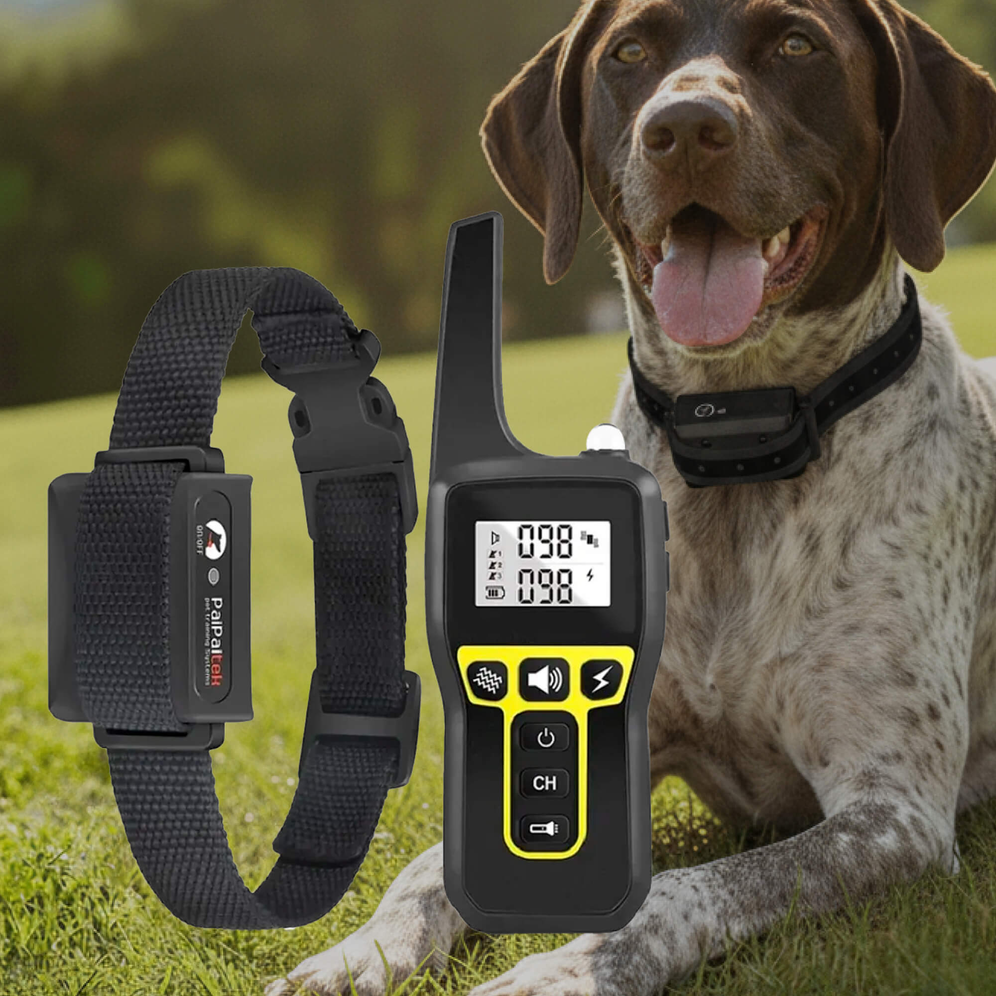 1000m Remote Dog Training Collar | Rechargeable Waterproof Trainer for All Dogs