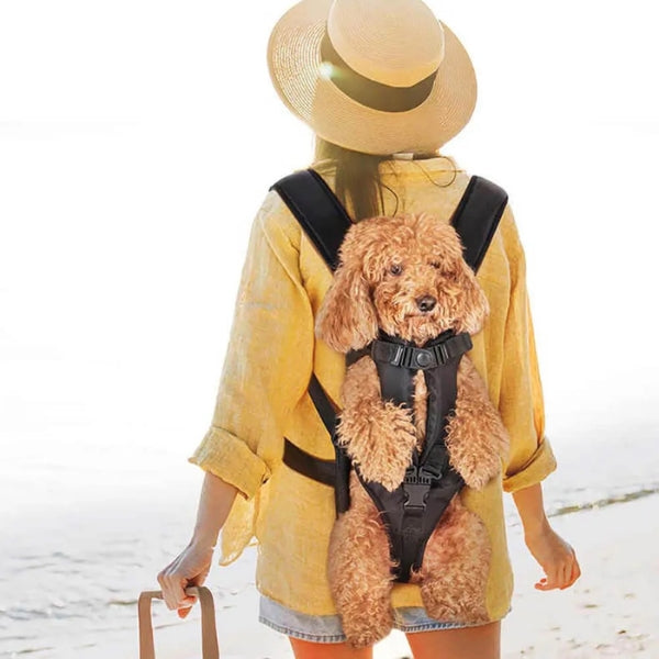 Comfortable Pet Carrier Backpack – Waterproof, Breathable Travel Cockpit for Dogs & Cats