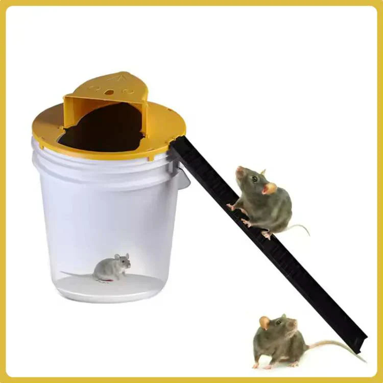 Touchless Multi-Catch Mouse Trap | Pet Safe Indoor Rodent Control