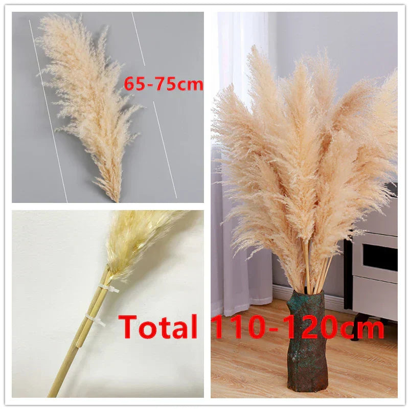 Natural Dried Pampas Grass | Fluffy Boho Decor & Wedding Stems