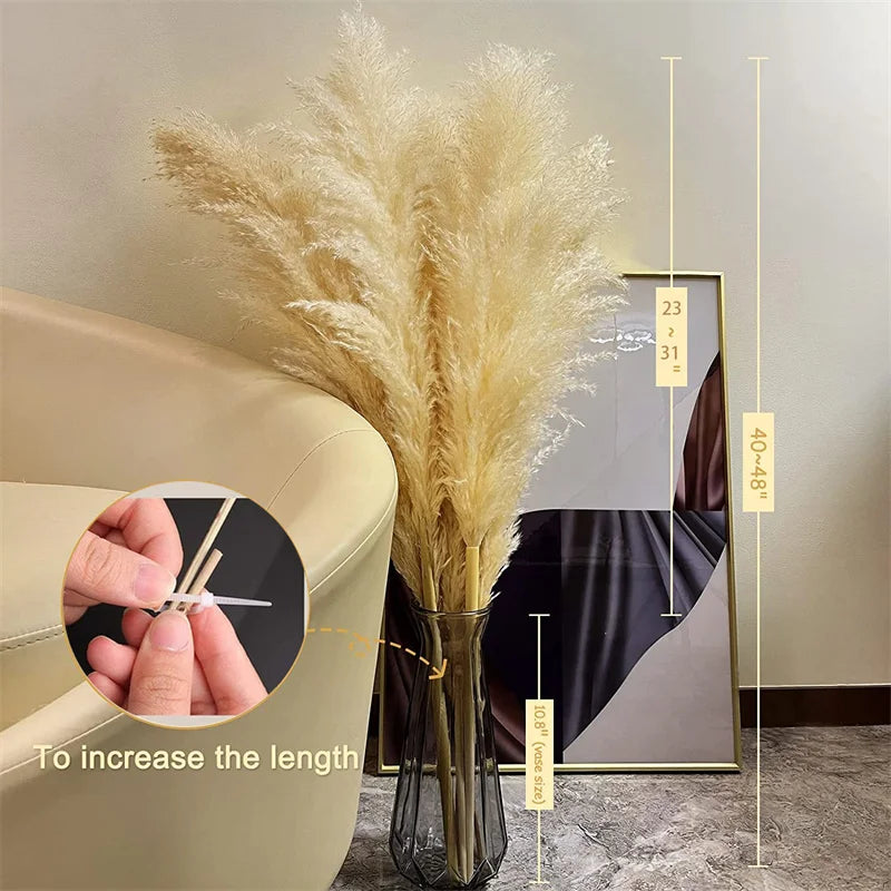 Natural Dried Pampas Grass | Fluffy Boho Decor & Wedding Stems