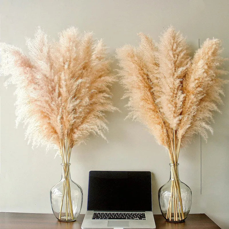 Natural Dried Pampas Grass | Fluffy Boho Decor & Wedding Stems
