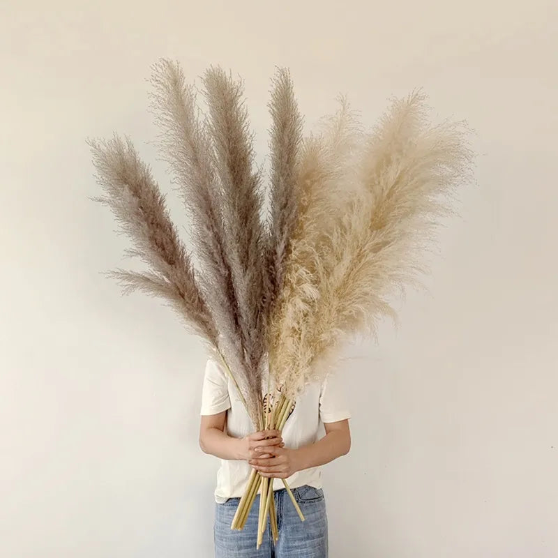 Natural Dried Pampas Grass | Fluffy Boho Decor & Wedding Stems