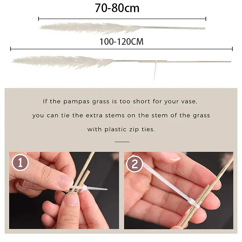 Natural Dried Pampas Grass | Fluffy Boho Decor & Wedding Stems