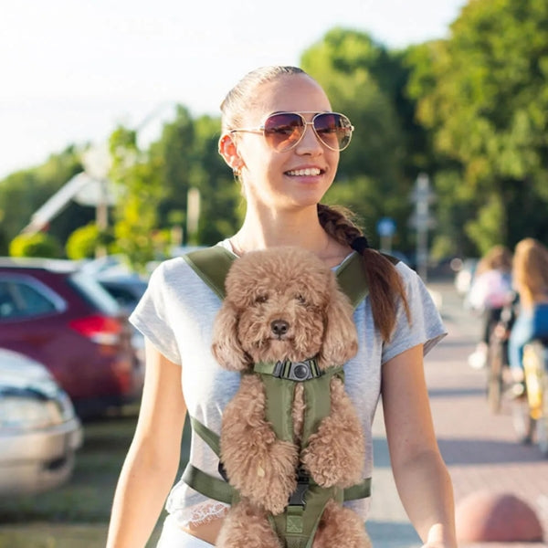 Comfortable Waterproof Pet Carrier Cockpit for Dogs and Cats