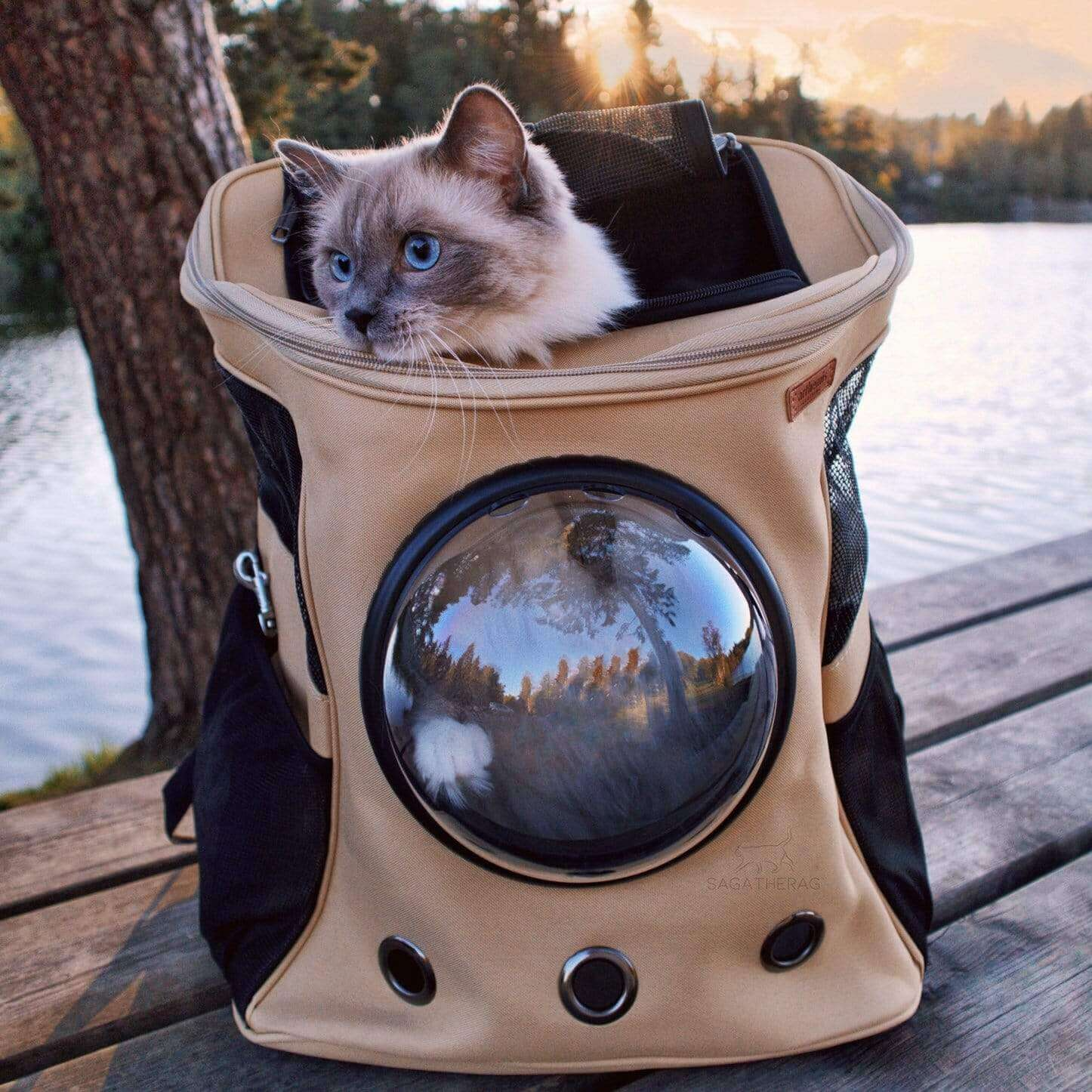 PetSphere | Ventilated Cat Bubble Backpack Carrier for Travel
