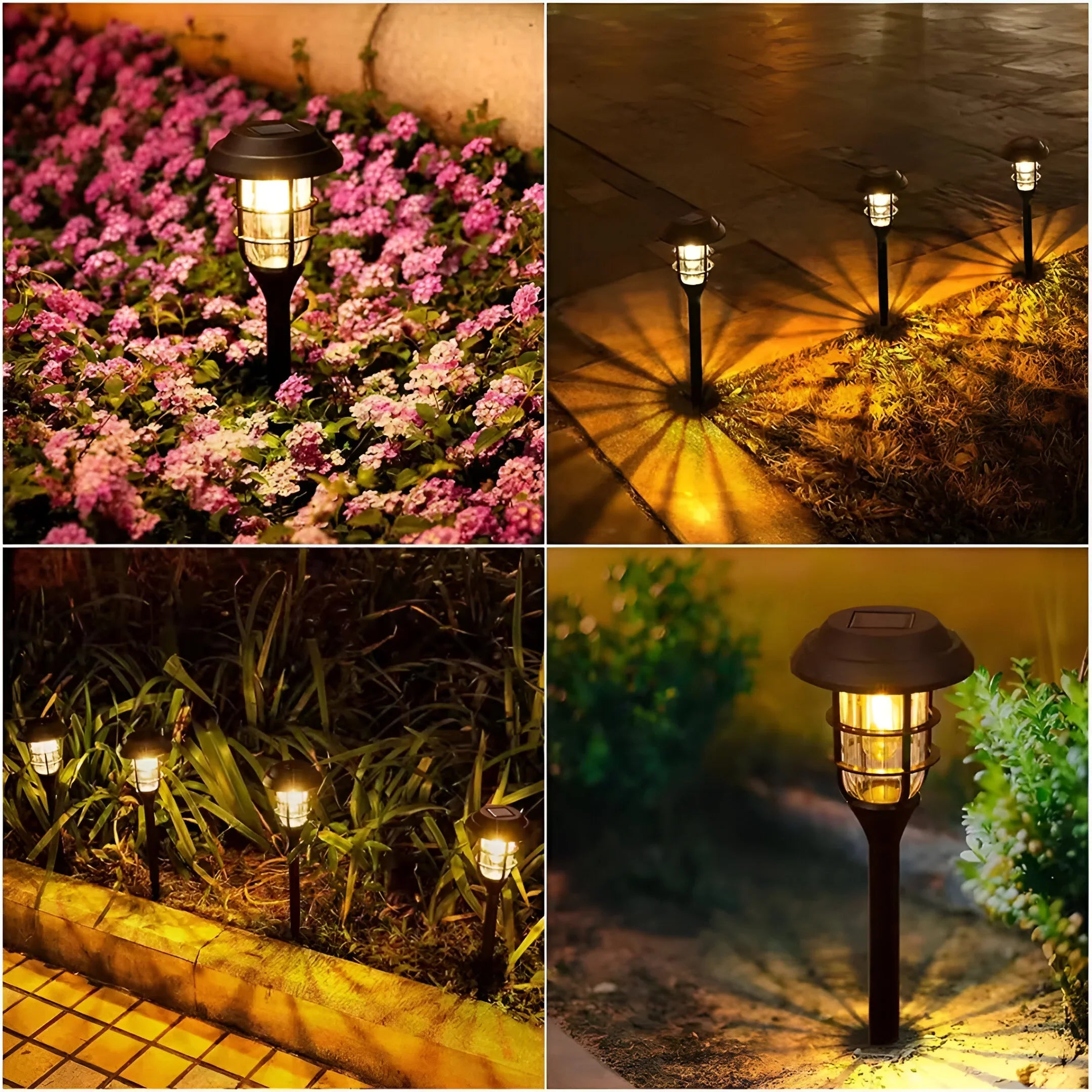 6-Pack Solar LED Path Lights | Waterproof Outdoor Garden Stake Set