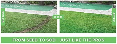 Liquid Grass Seed Spray | Hydroseed Lawn Patch & Repair Kit