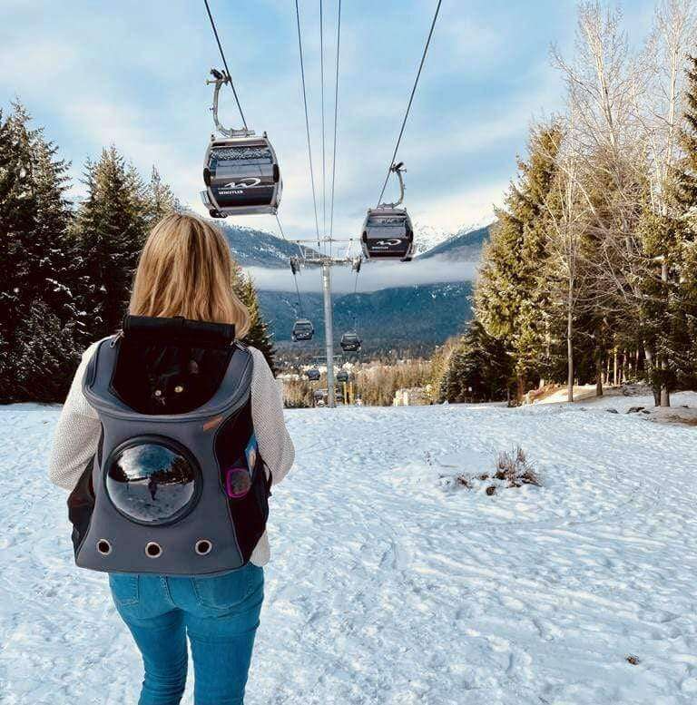 PetSphere | Ventilated Cat Bubble Backpack Carrier for Travel