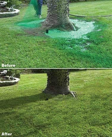 Liquid Grass Seed Spray | Hydroseed Lawn Patch & Repair Kit