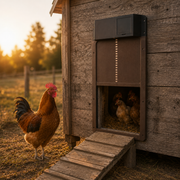 Automatic Chicken Coop Door with Light Sensor – Weatherproof Timer Poultry Door for Safe Hen House Access