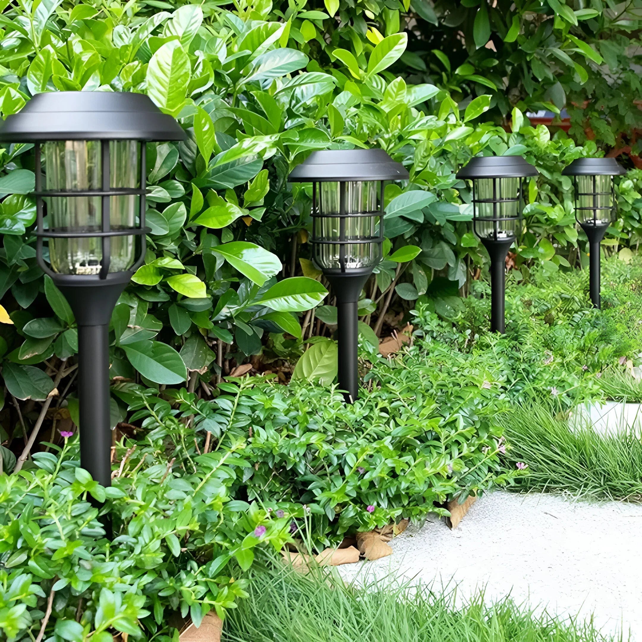 6-Pack Solar LED Path Lights | Waterproof Outdoor Garden Stake Set