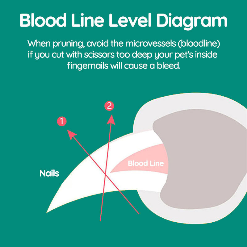 Cooper | Smart Safety Pet Nail Clippers