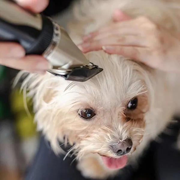 Silent Dog Grooming Clippers | Low Noise Pet Coat Trimmer & Hair Kit ...