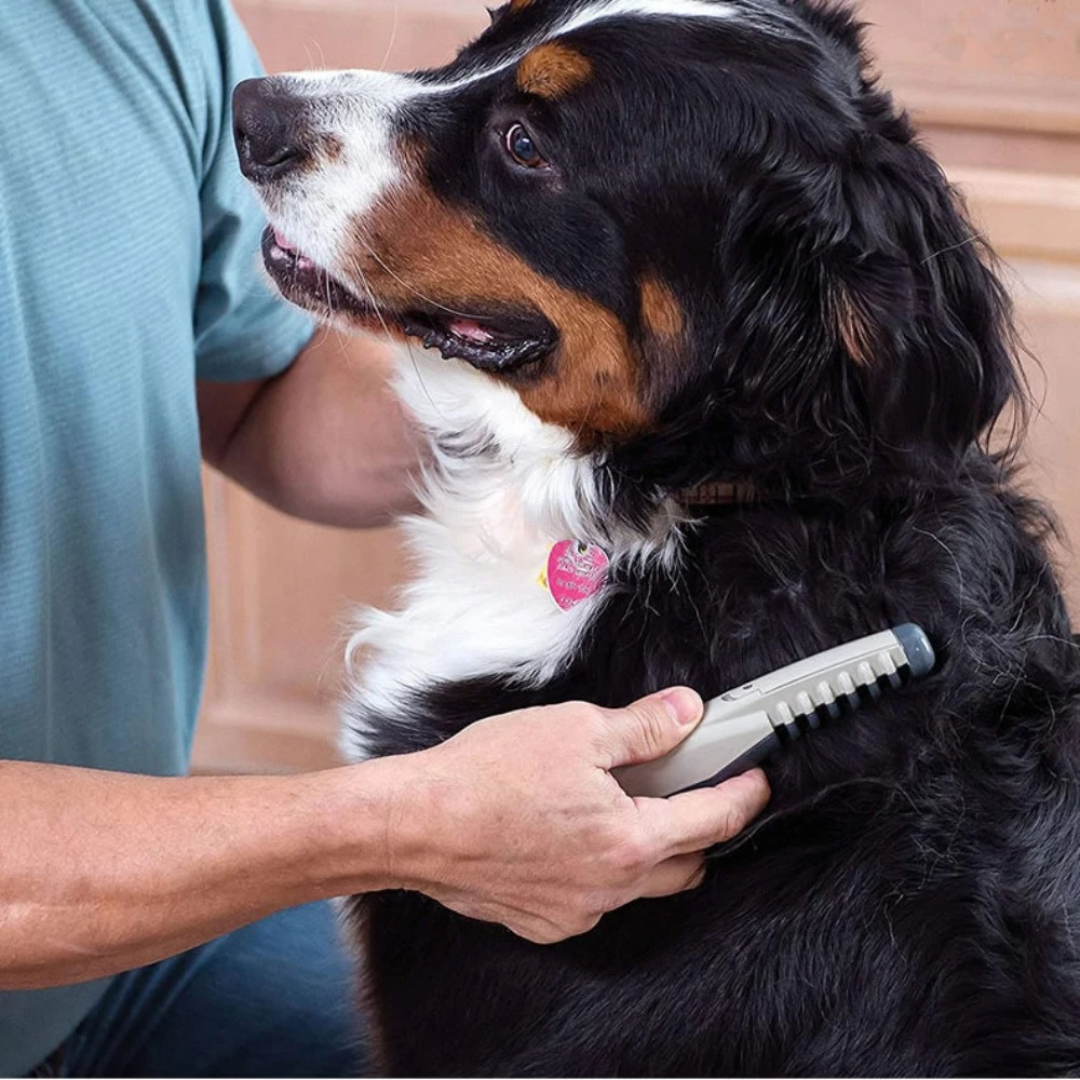 Professional Pet De-matting Tool | Detangling Grooming Brush for Dogs & Cats