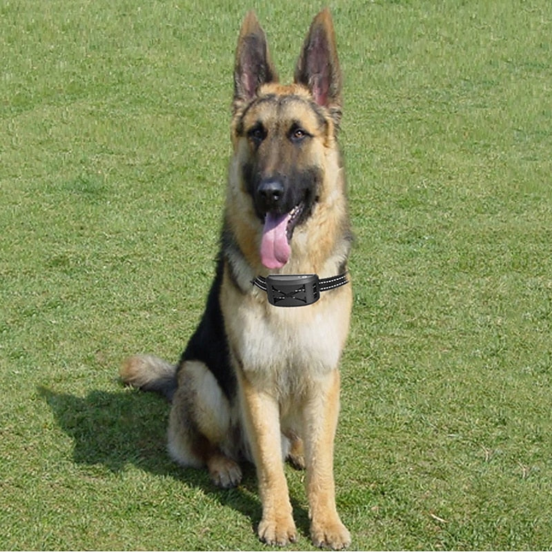 Wireless Dog Fence System | 9-240m Pet Containment Receiver Collar