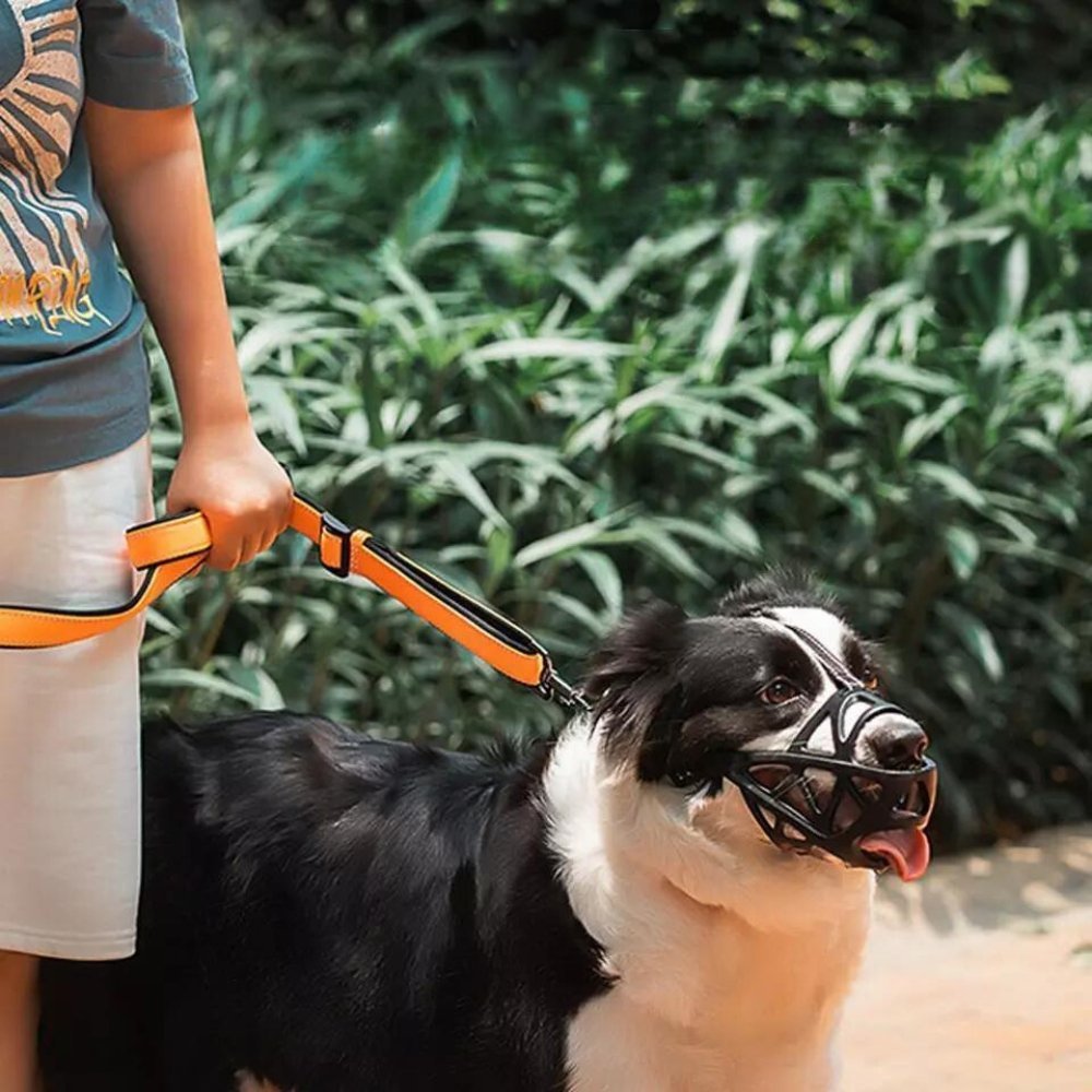 Soft Breathable Dog Muzzle | Humane Anti-Bite & Barking Guard