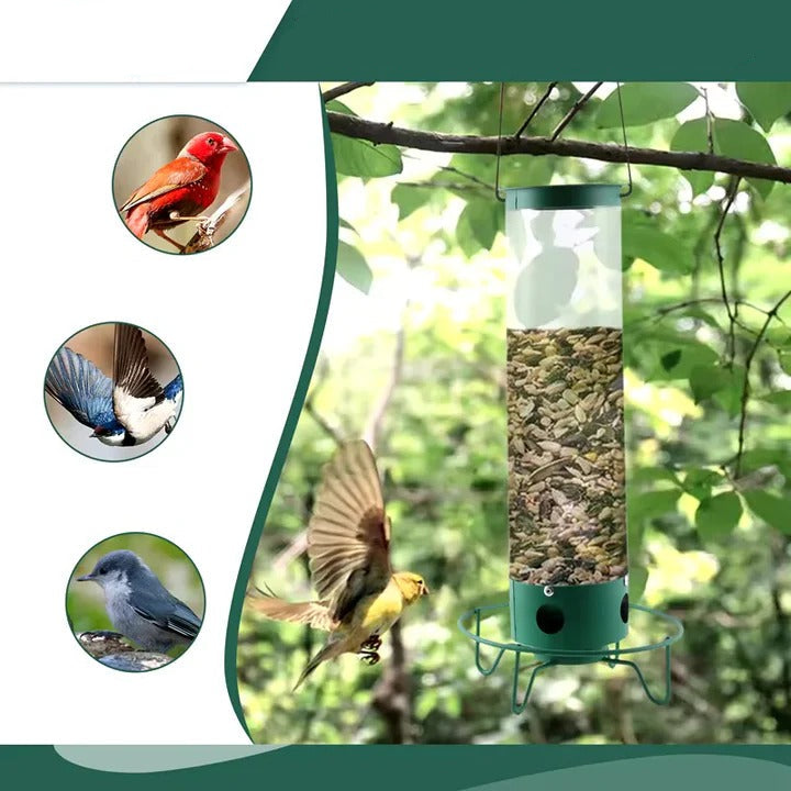 AvianGuard | Heavy-Duty Predator-Proof Bird Feeder with Metal Cage Design