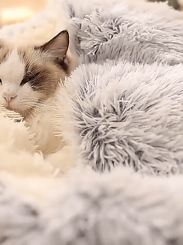 Calming Cave Dog Bed for Anxiety | Cozy Covered Pet Cushion