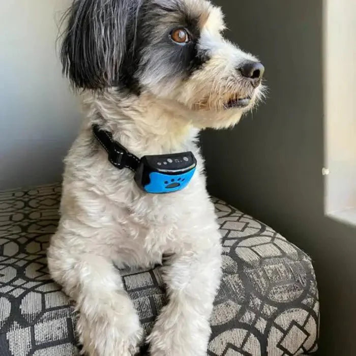 BarkTamer Pro Anti-Bark Collar - Gentle Vibration & Sound Training
