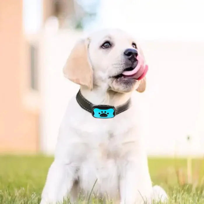 BarkTamer Pro Anti-Bark Collar - Gentle Vibration & Sound Training