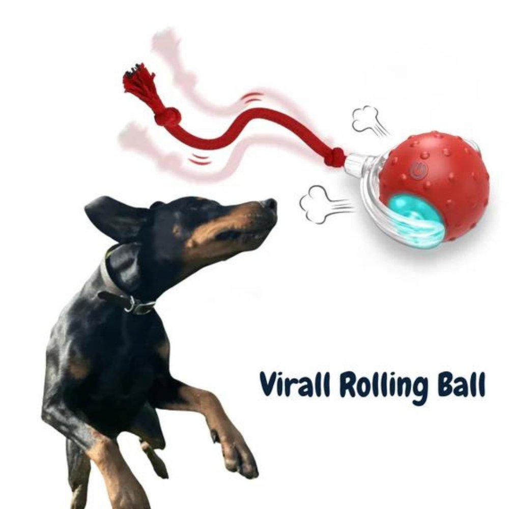 Durable Rolling Dog Ball Toy | Interactive Chew Toy for Puppies