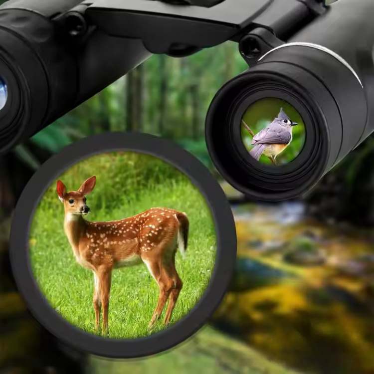 Compact 40x22 HD Binoculars | Lightweight Bird Watching & Travel
