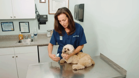 Cooper | Smart Safety Pet Nail Clippers