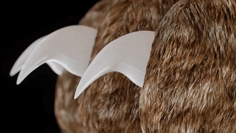 Cooper | Smart Safety Pet Nail Clippers