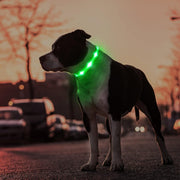 Waterproof AirTag Dog Collar Holder | Reflective Anti-Lost GPS Pet Tracker