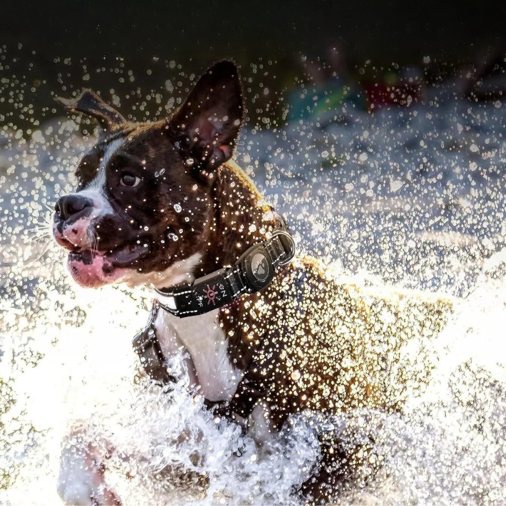 Waterproof AirTag Dog Collar Holder | Reflective Anti-Lost GPS Pet Tracker