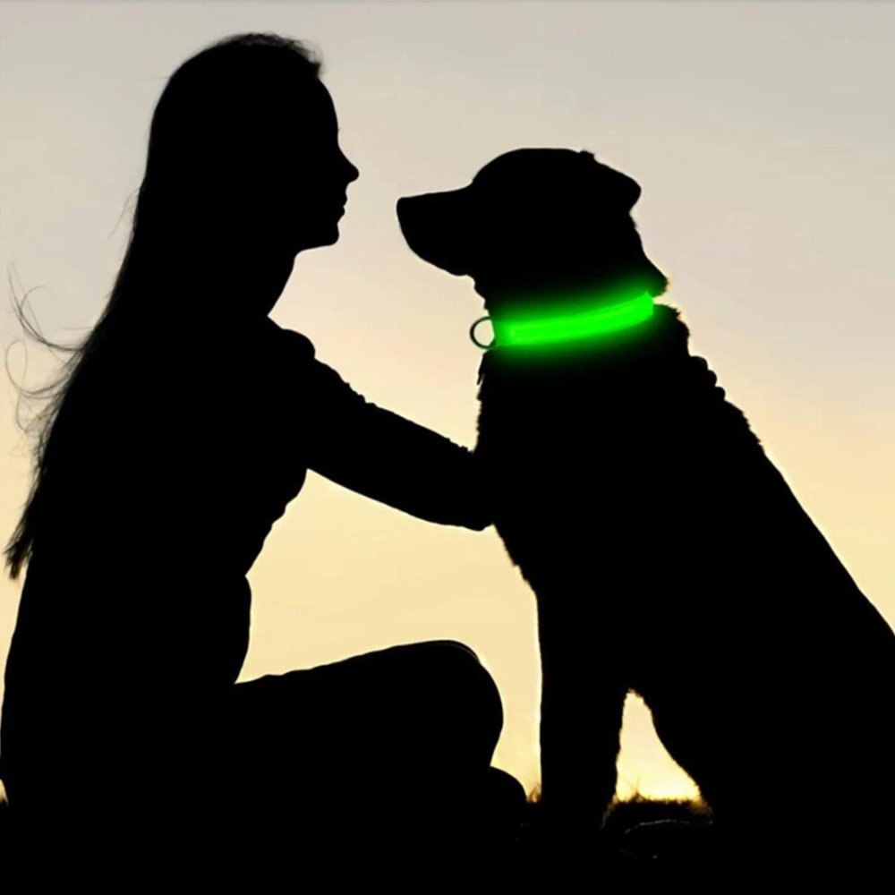 Waterproof AirTag Dog Collar Holder | Reflective Anti-Lost GPS Pet Tracker