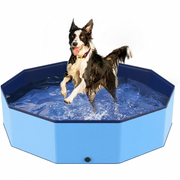Foldable non-slip splash pool for dogs and kids in a sunny backyard