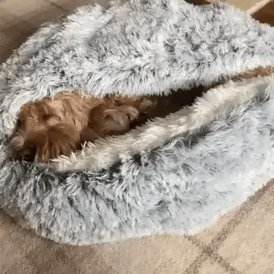 Calming Cave Dog Bed for Anxiety | Cozy Covered Pet Cushion