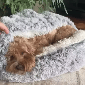 Calming Cave Dog Bed for Anxiety | Cozy Covered Pet Cushion