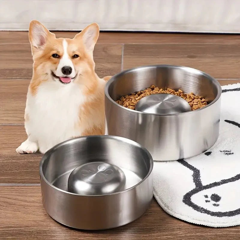 Slow Feeder Dog Bowl | Anti-Bloat Puzzle Eating Dish