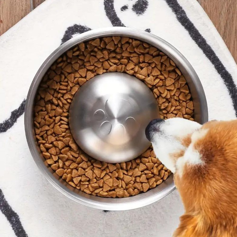 Slow Feeder Dog Bowl | Anti-Bloat Puzzle Eating Dish