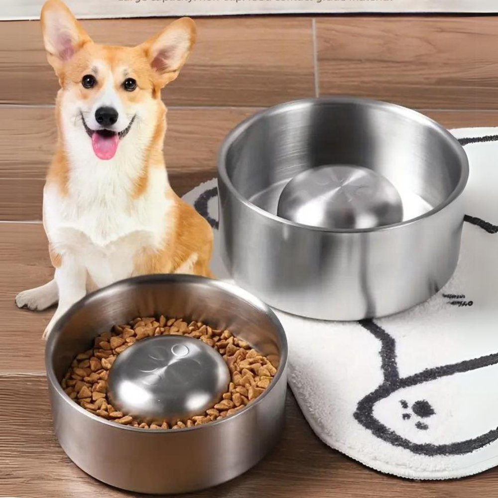 Slow Feeder Dog Bowl | Anti-Bloat Puzzle Eating Dish