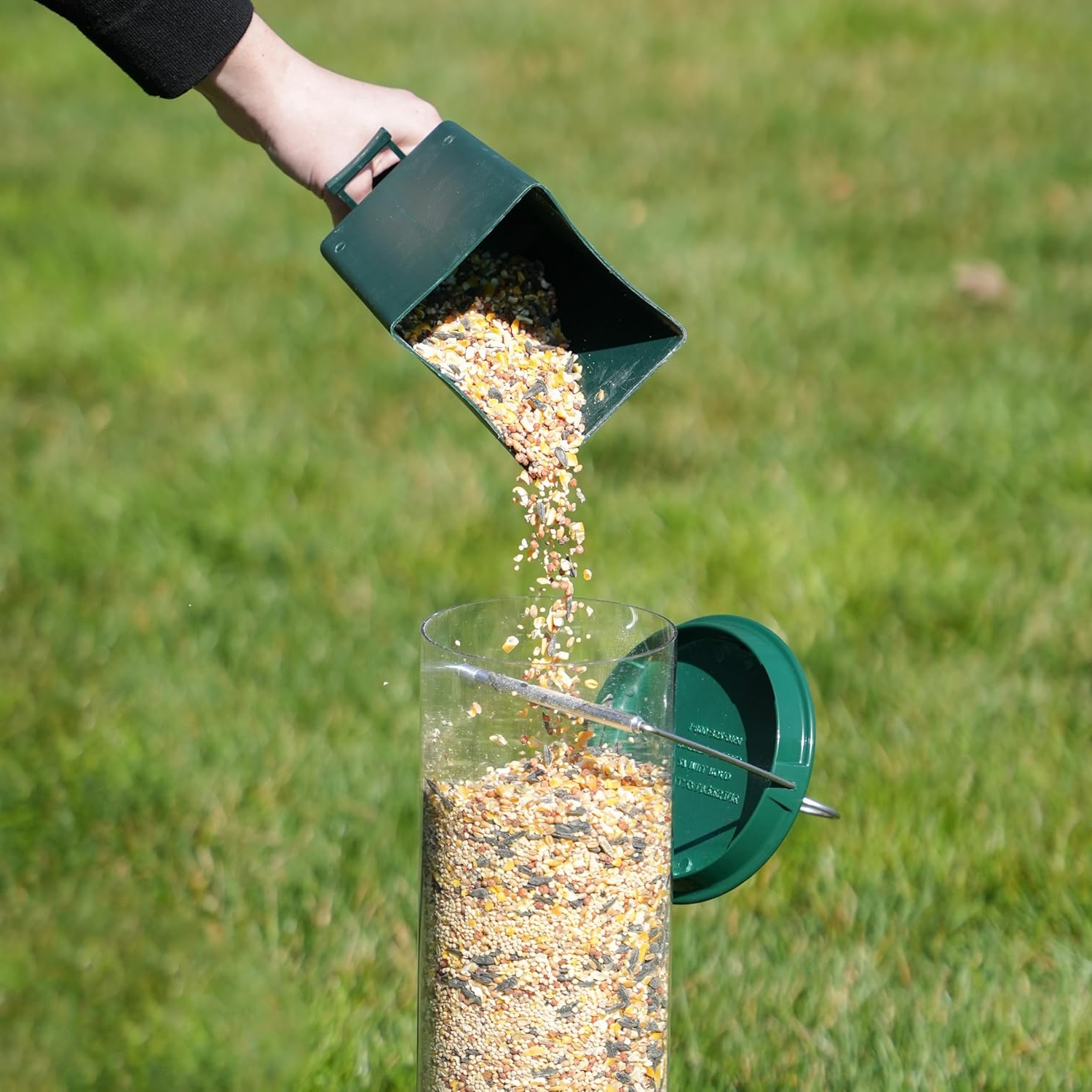 Squirrel-Proof Wild Bird Feeder | Heavy Duty Outdoor Seed Dispenser