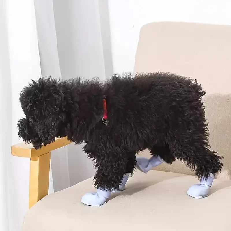 Waterproof Silicone Dog Boots | Non-Slip Paw Protection Rain Shoes
