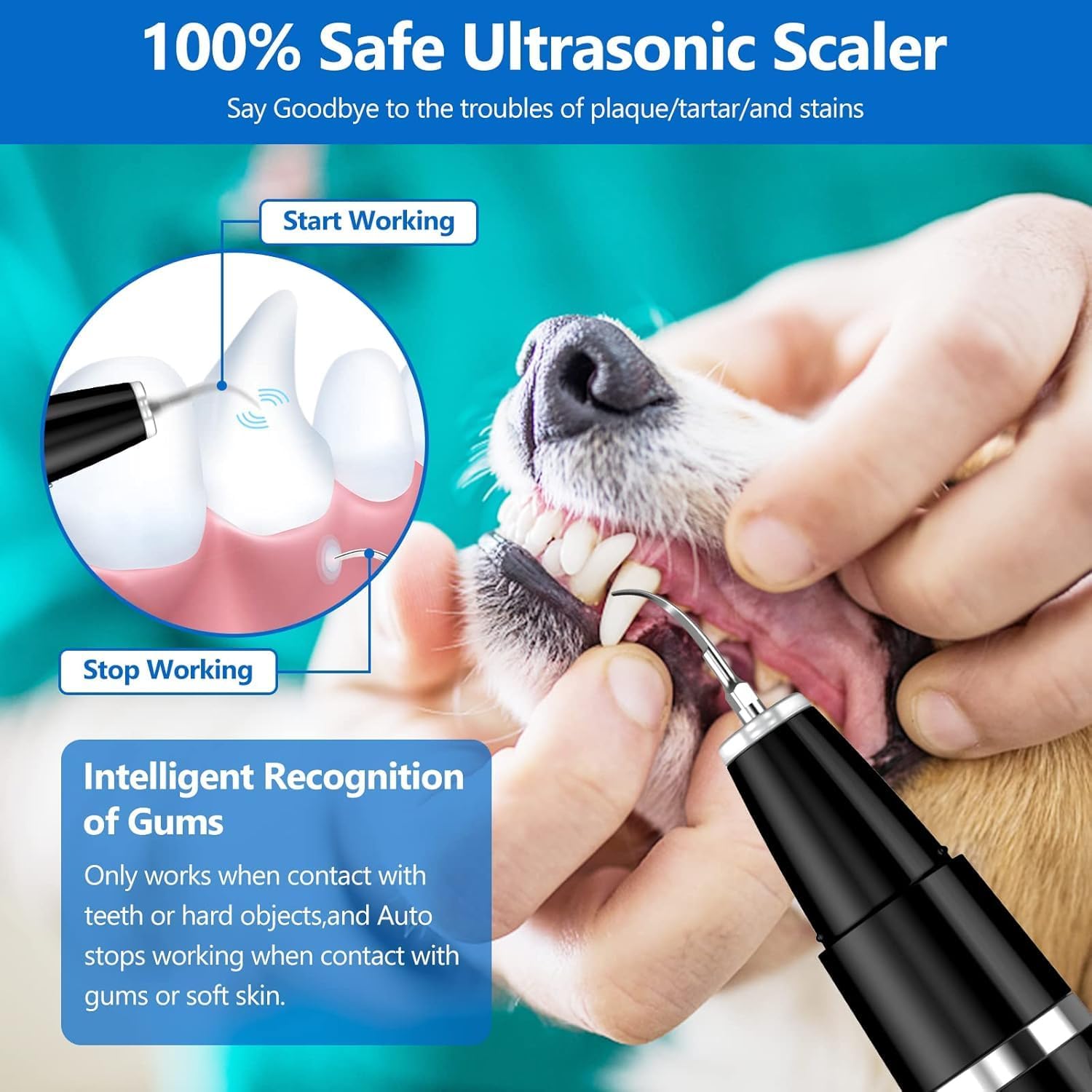 Ultrasonic Pet Plaque & Tartar Remover | Dog & Cat Teeth Cleaning Kit