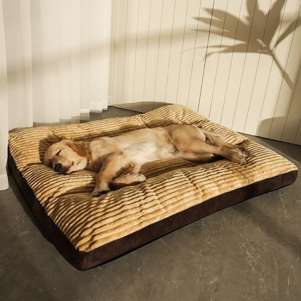 Oversized Corduroy Dog Bed for XL Dogs | Orthopedic Washable Pet Lounger