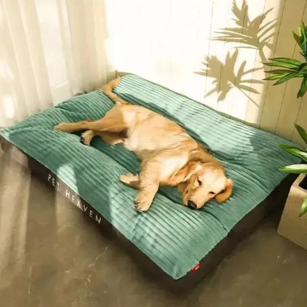 Oversized Corduroy Dog Bed for XL Dogs | Orthopedic Washable Pet Lounger