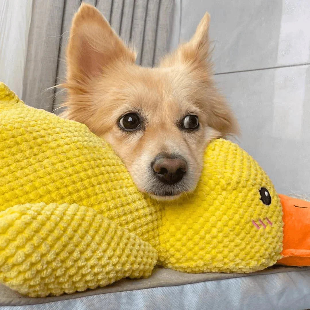 Calming Duck Dog Toy, Anti-Anxiety Plush Pet Comfort