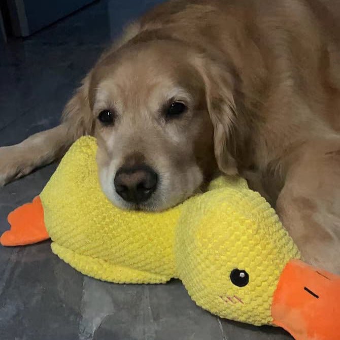 Calming Duck Dog Toy, Anti-Anxiety Plush Pet Comfort
